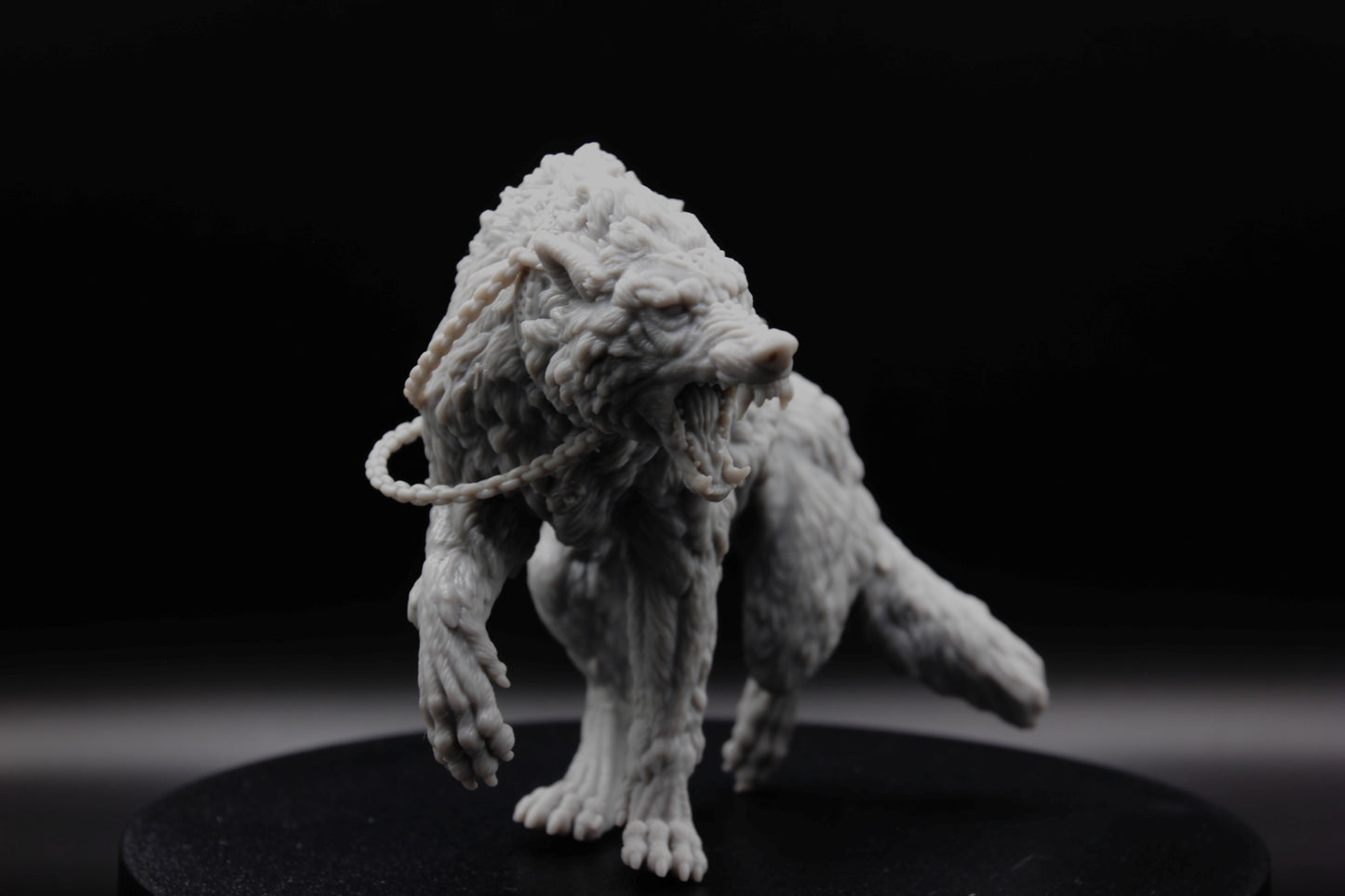 GRAND LOUP SAUVAGE
