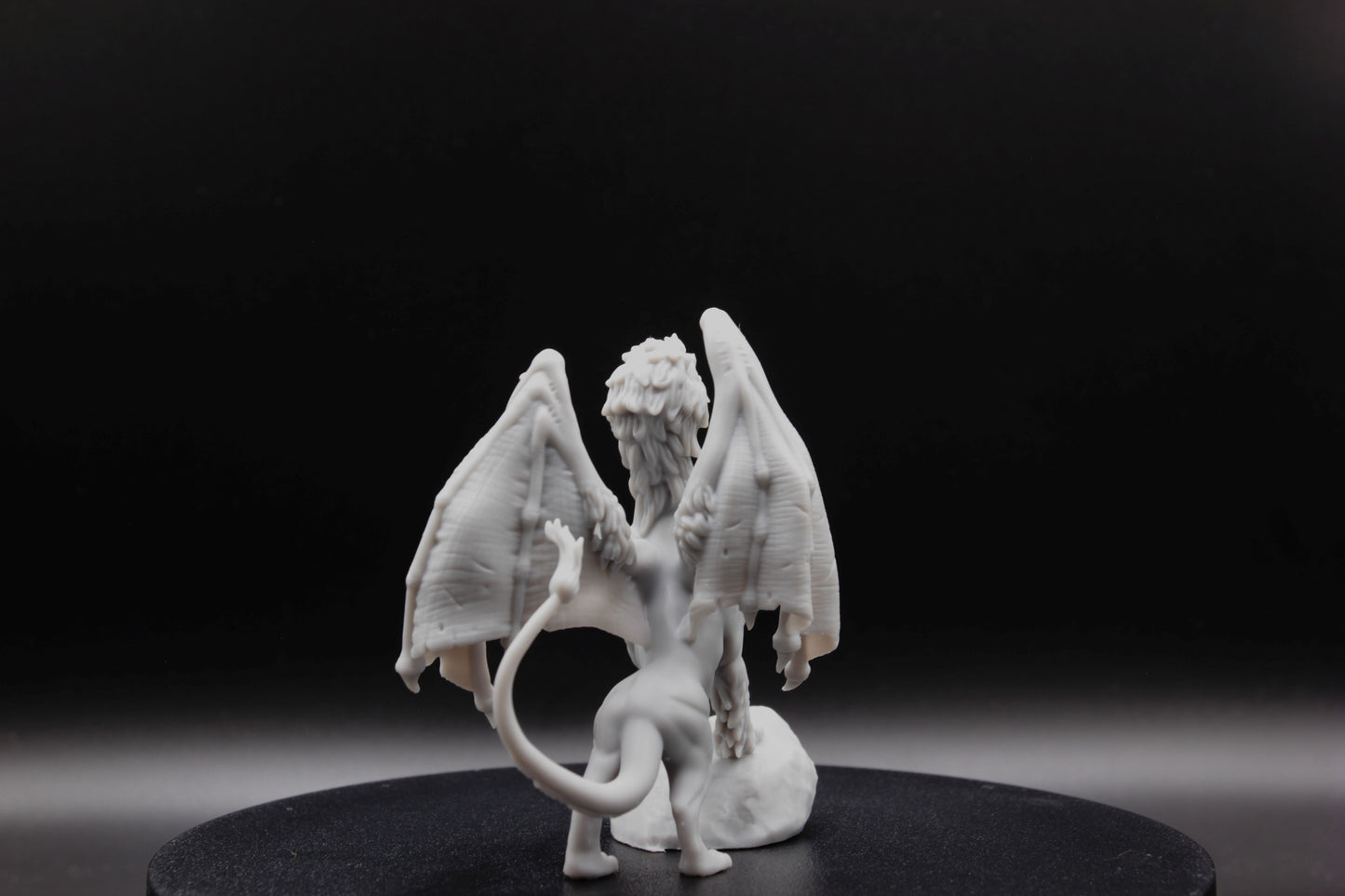 DRAGON LION