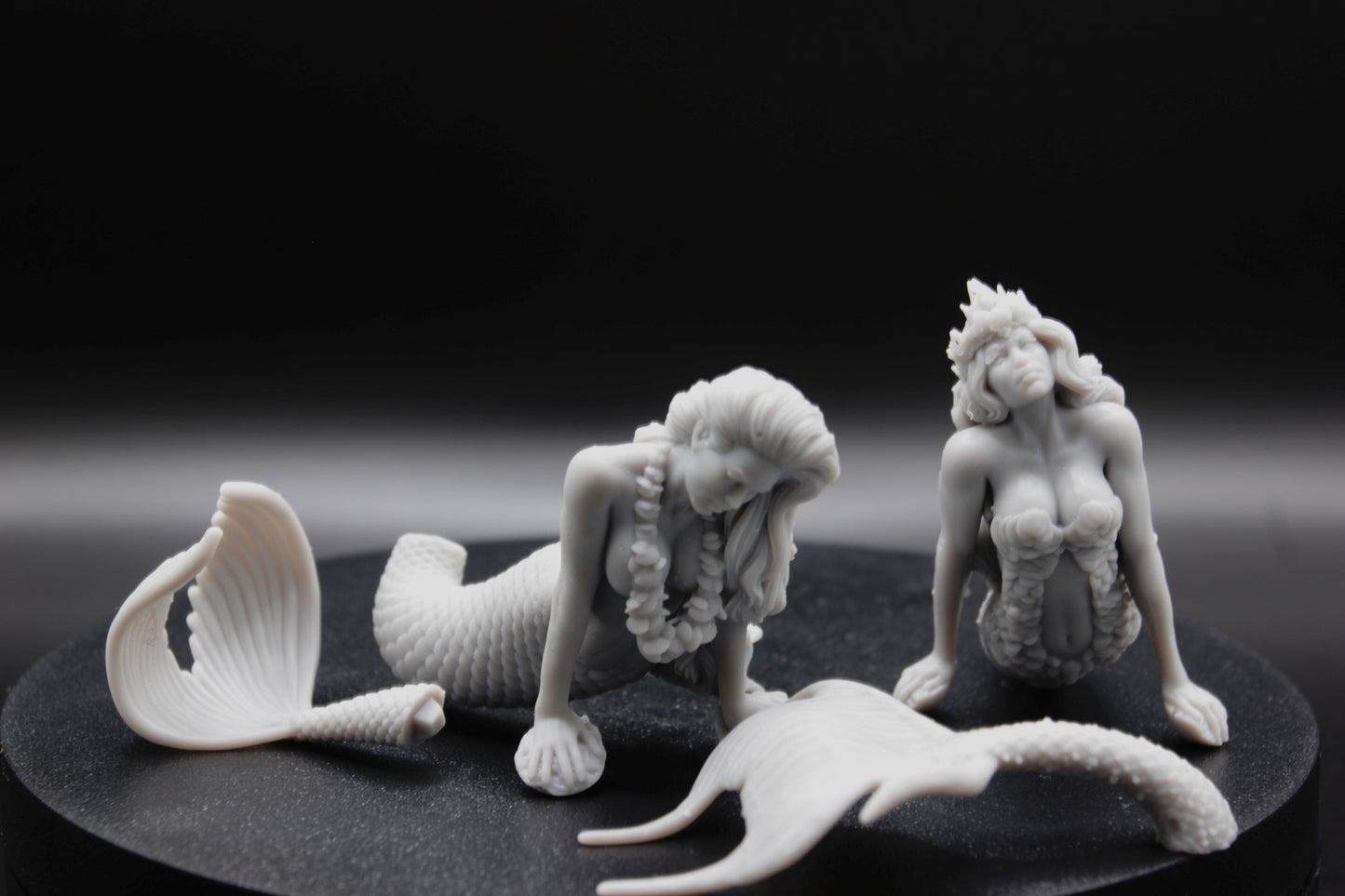 DUO DE SIRENE