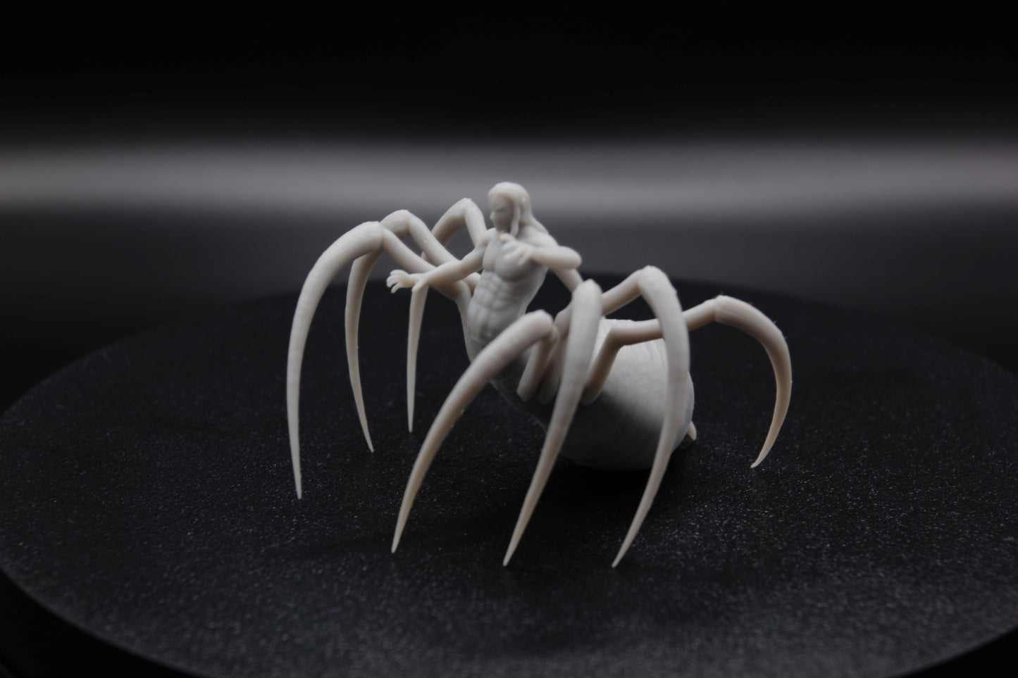 ROI ET REINE ARACHNIDE