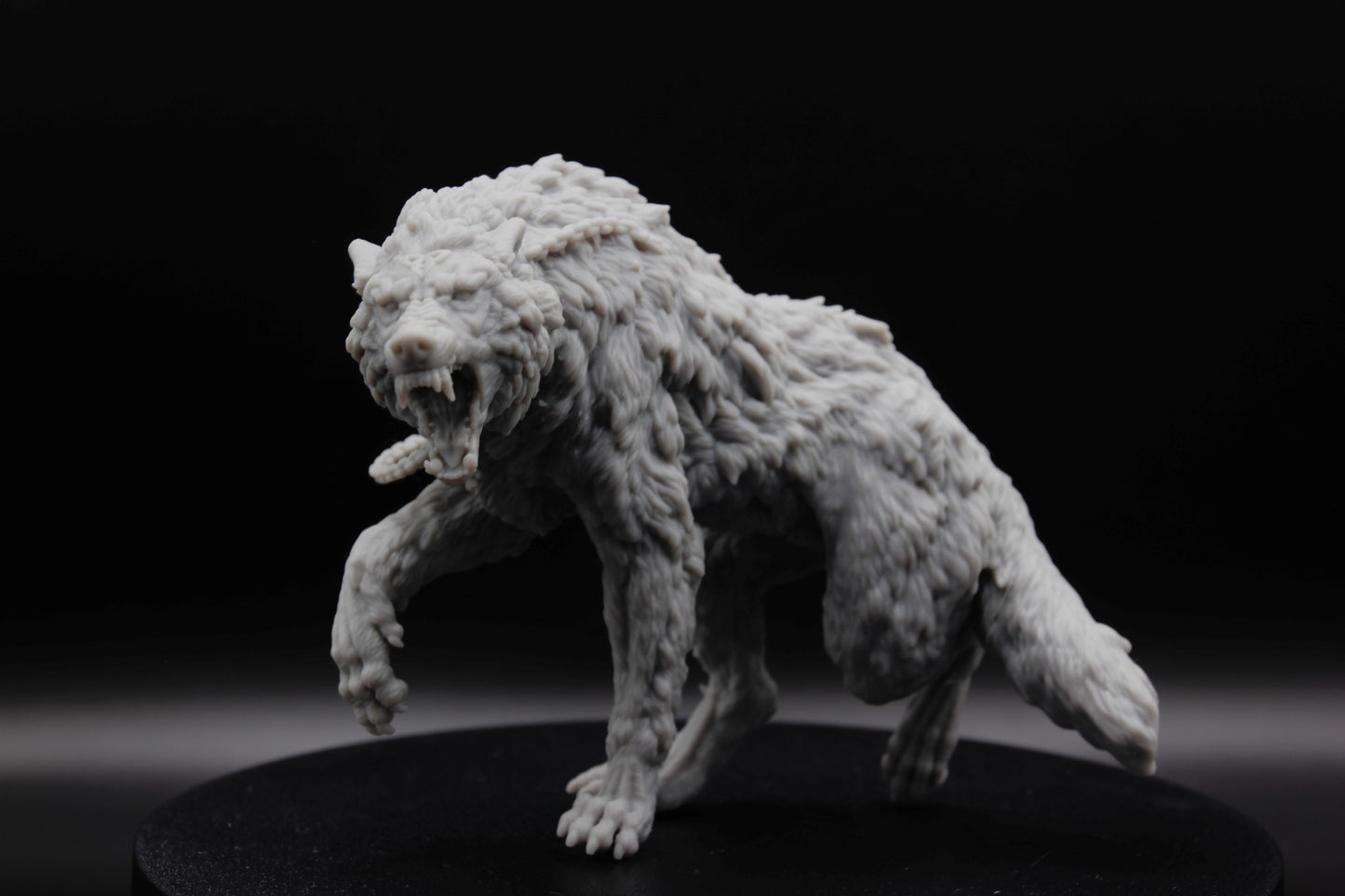 GRAND LOUP SAUVAGE