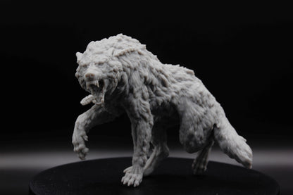 GRAND LOUP SAUVAGE