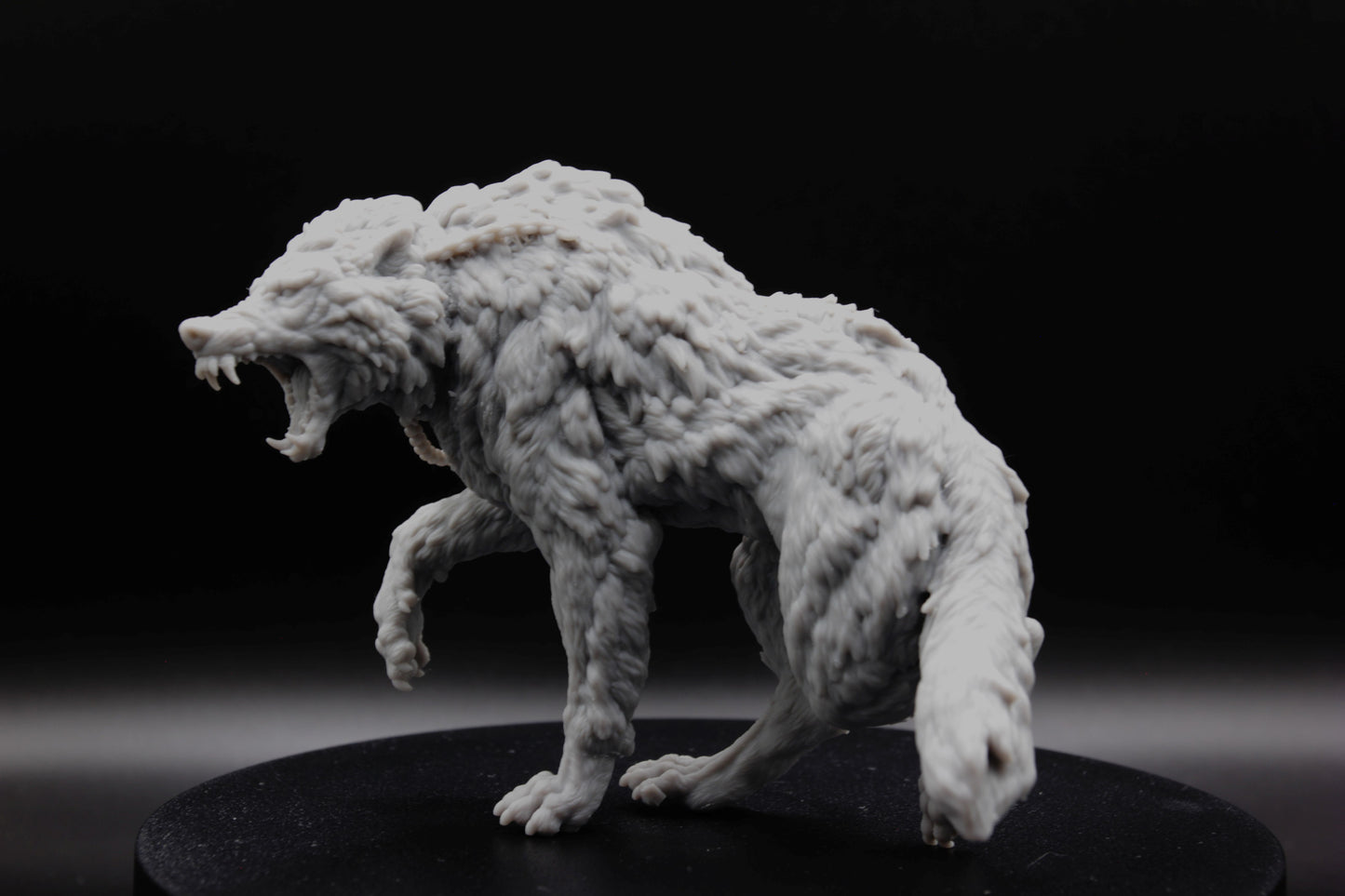 GRAND LOUP SAUVAGE