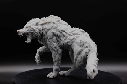 GRAND LOUP SAUVAGE