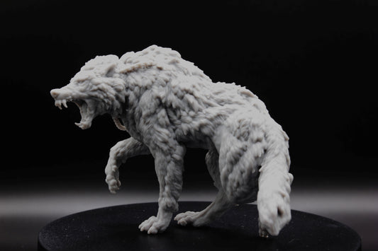 GRAND LOUP SAUVAGE