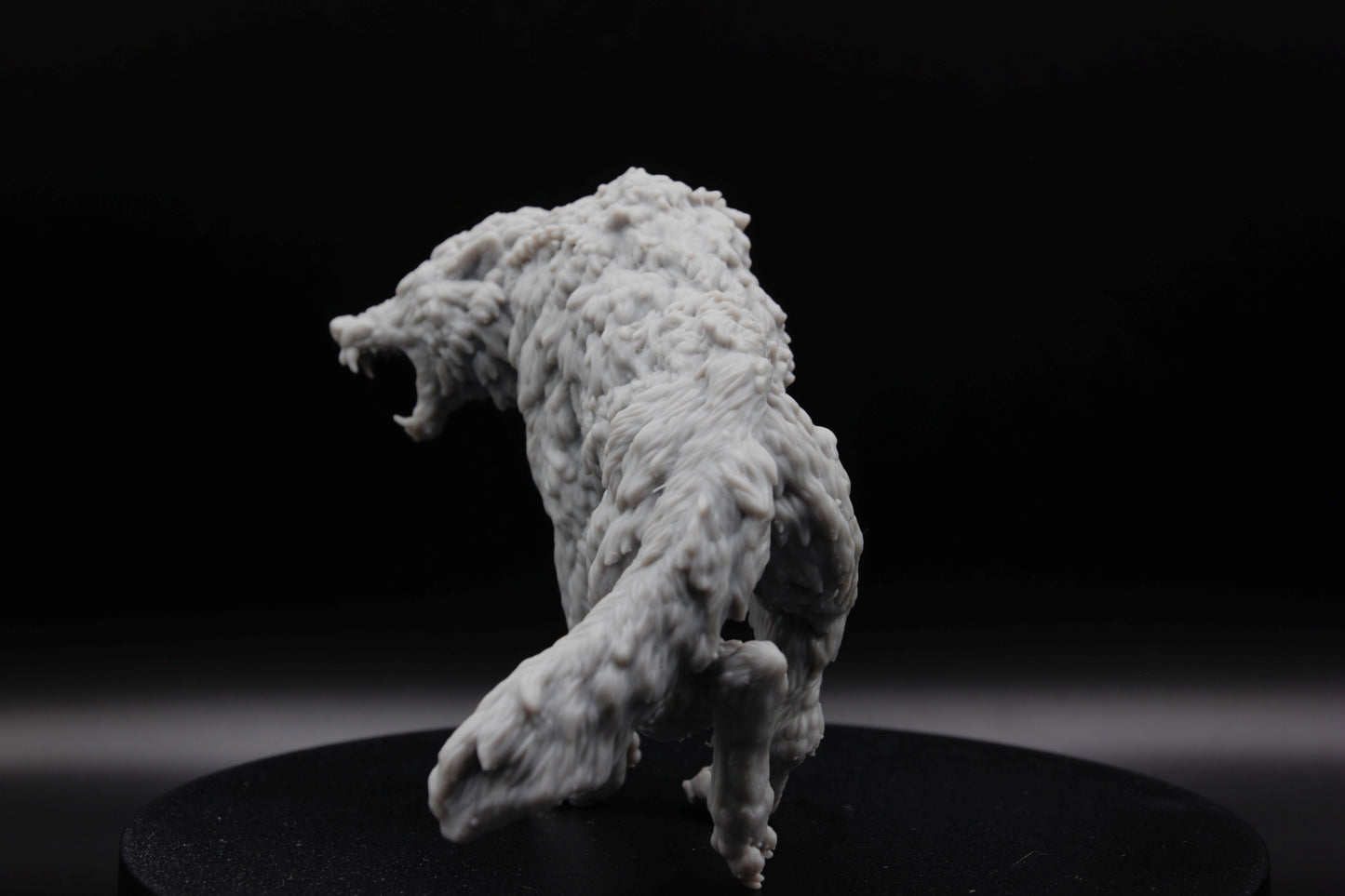 GRAND LOUP SAUVAGE