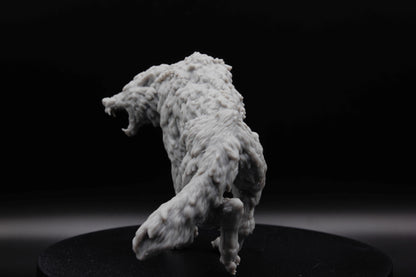 GRAND LOUP SAUVAGE