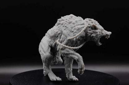 GRAND LOUP SAUVAGE