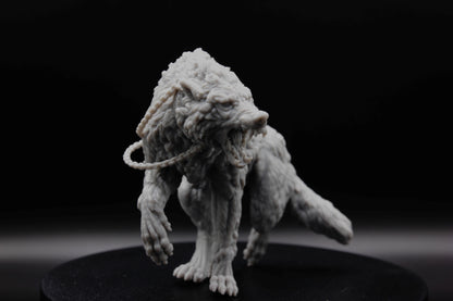 GRAND LOUP SAUVAGE