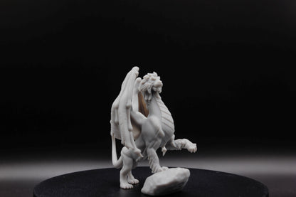 DRAGON LION