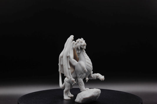 DRAGON LION