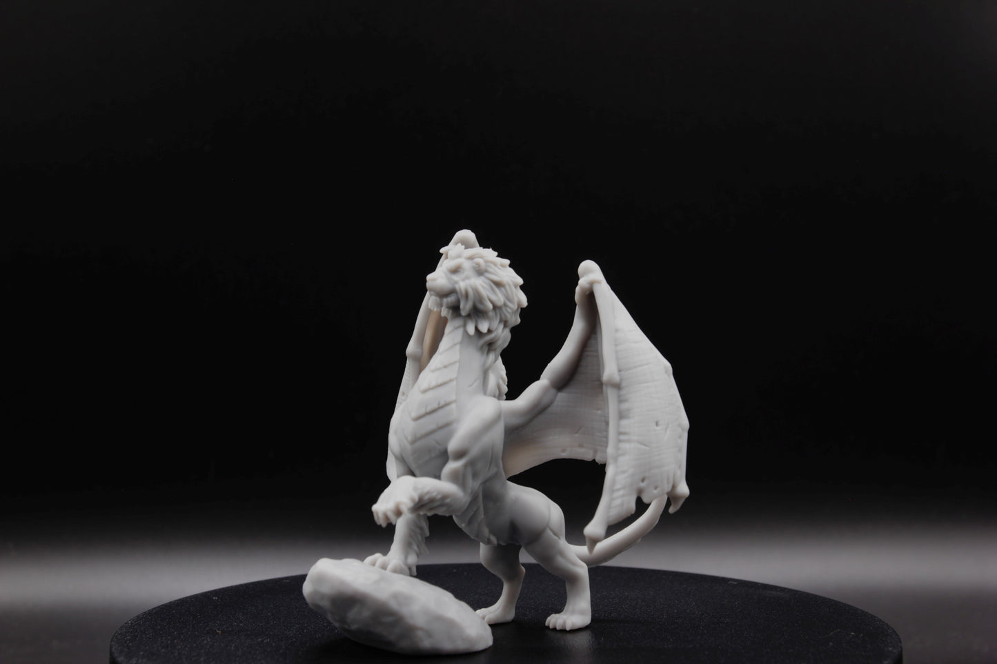 DRAGON LION