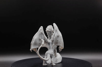 DRAGON LION