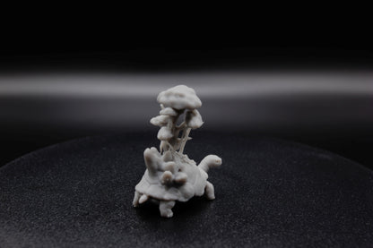 TORTUE MYCÉLIENNE