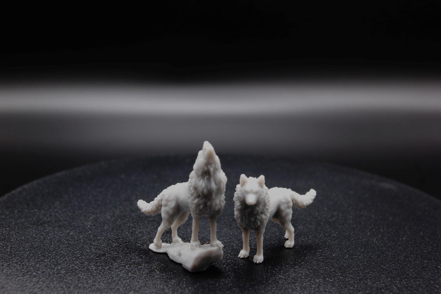 DUO DE LOUPS