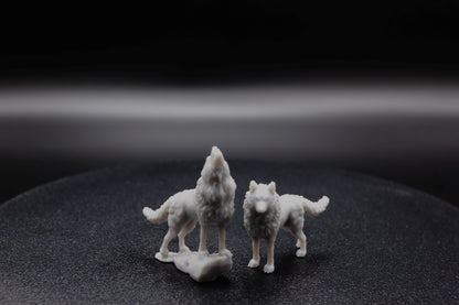 DUO DE LOUPS