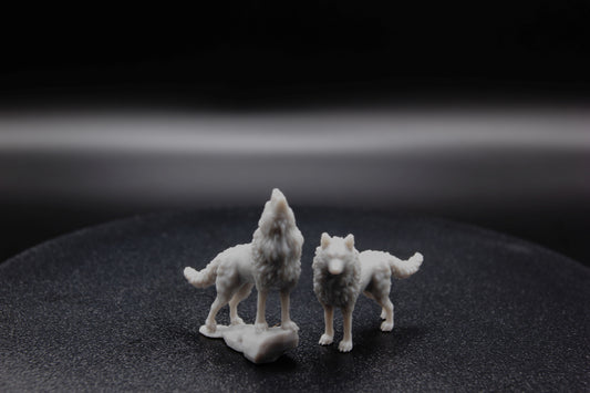 DUO DE LOUPS