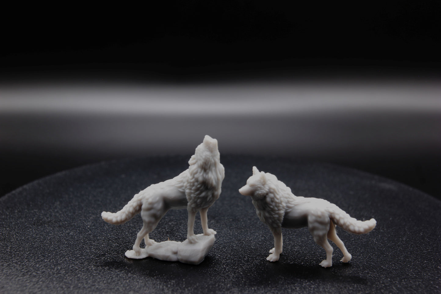 DUO DE LOUPS