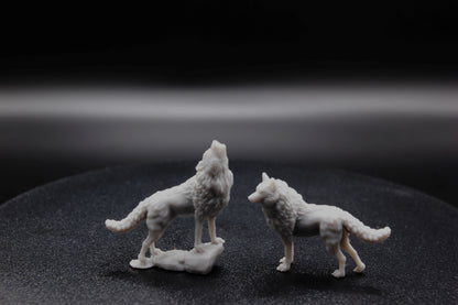 DUO DE LOUPS