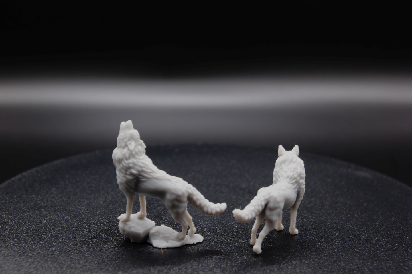 DUO DE LOUPS