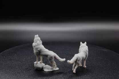 DUO DE LOUPS