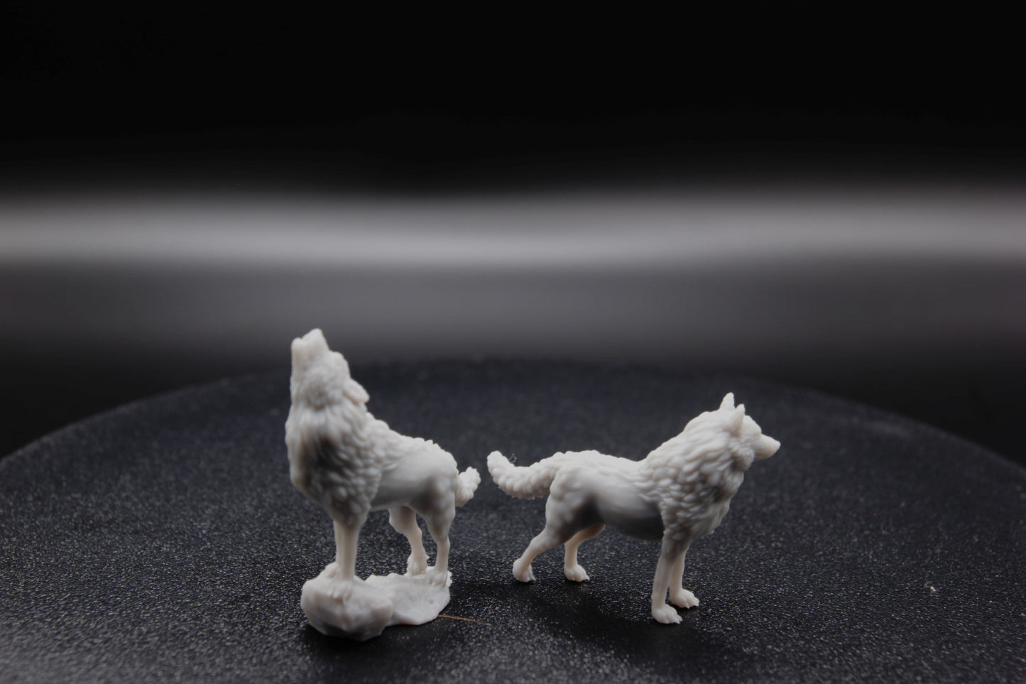 DUO DE LOUPS