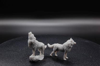 DUO DE LOUPS