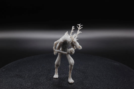 LESHEN