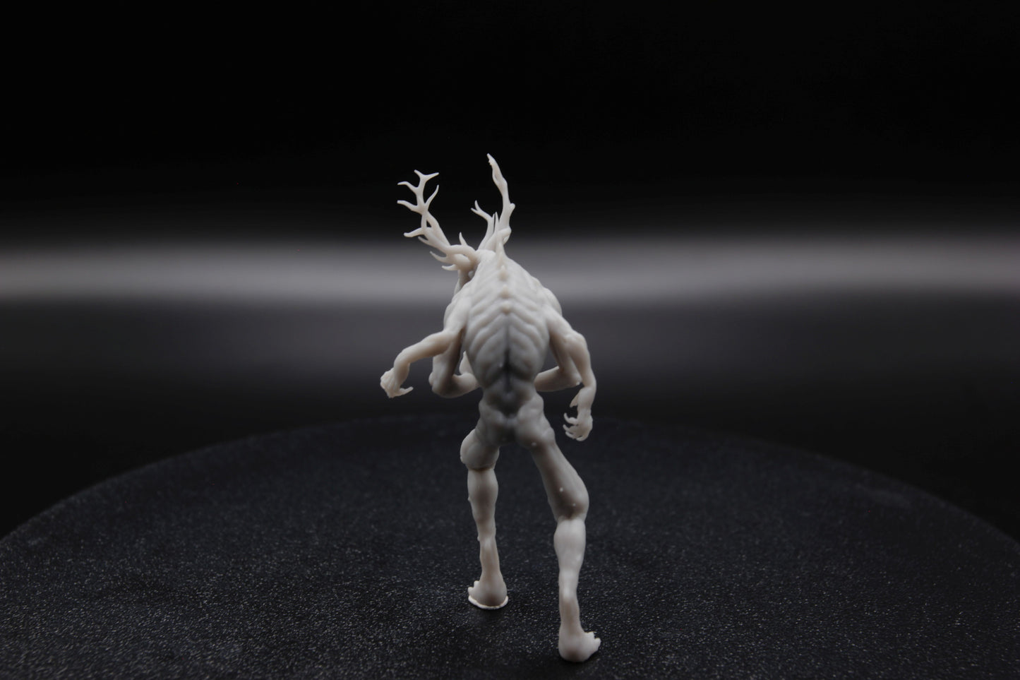 LESHEN