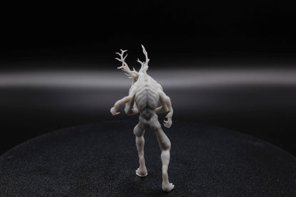 LESHEN
