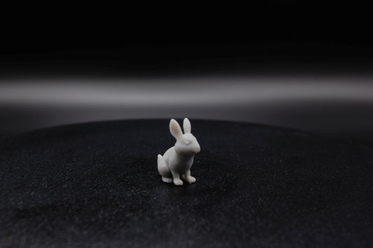 LAPIN