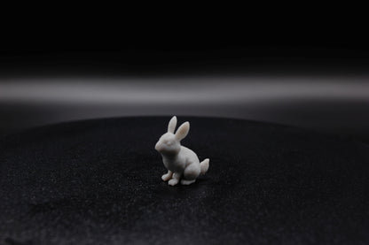 LAPIN