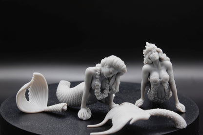 DUO DE SIRENE