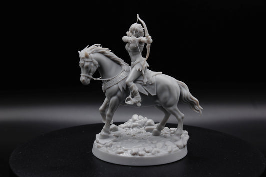 CAVALIERE DES CENDRES
