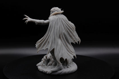 SEIGNEUR VAMPIRE