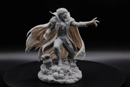 SEIGNEUR VAMPIRE