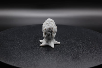 CROISSANCES ALIEN