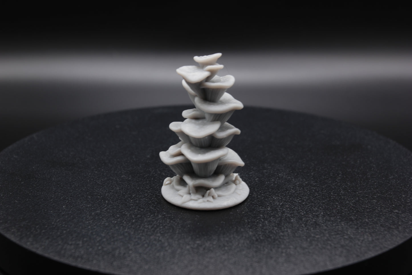 GRAND CHAMPIGNON