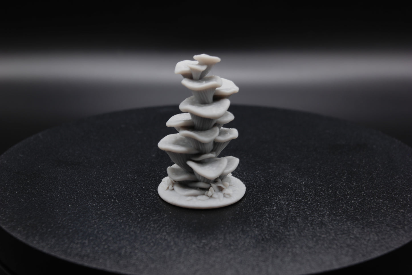 GRAND CHAMPIGNON