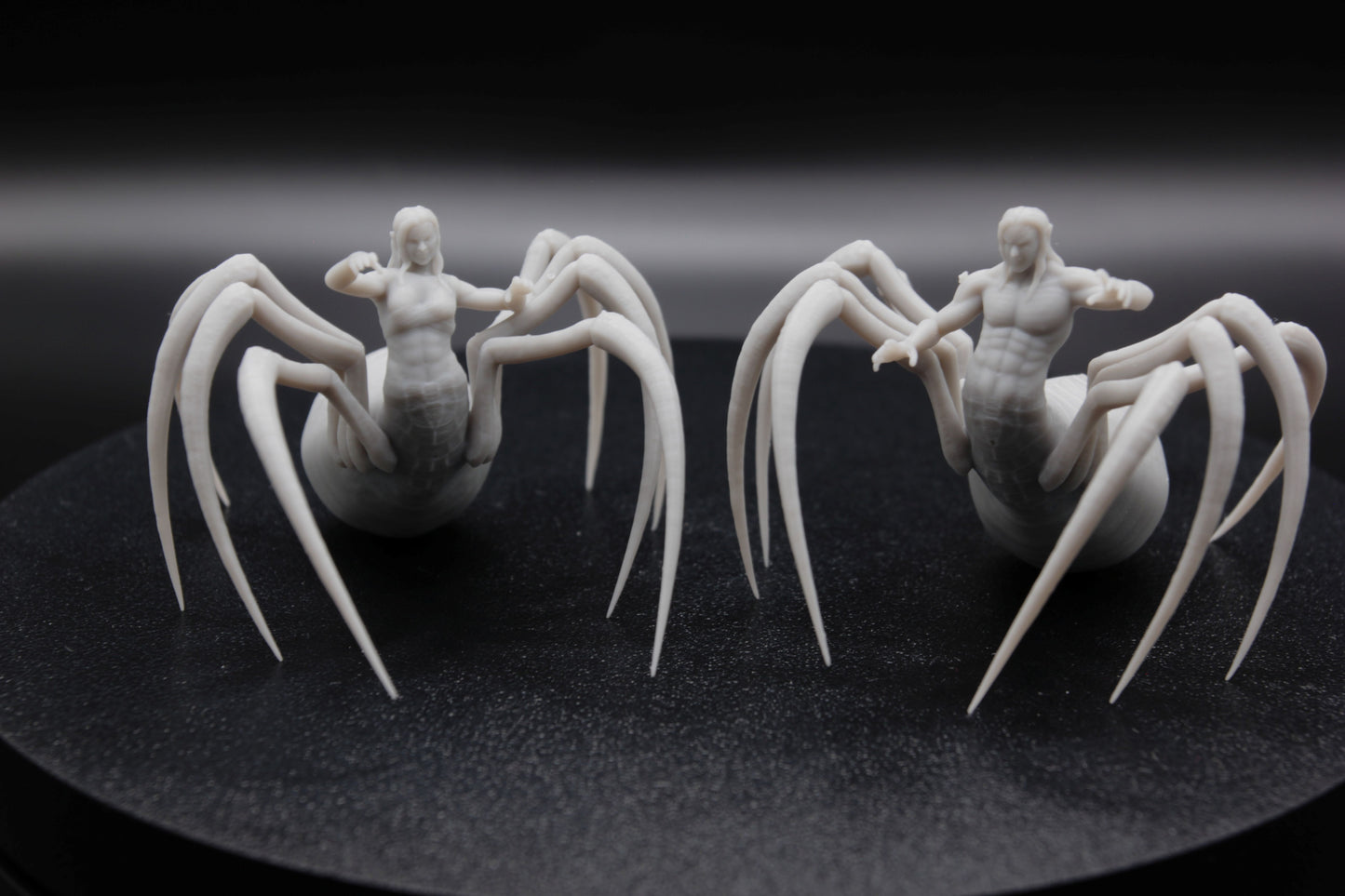 ROI ET REINE ARACHNIDE