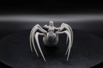 ROI ET REINE ARACHNIDE