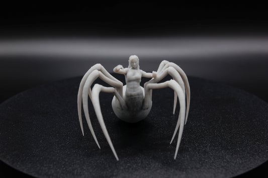 ROI ET REINE ARACHNIDE