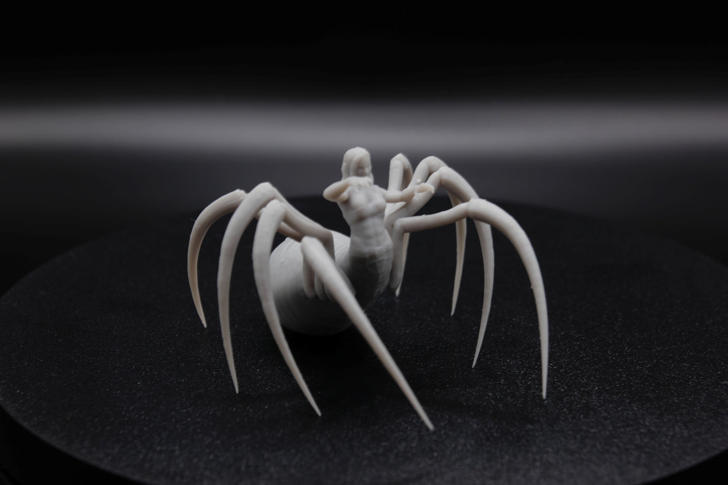 ROI ET REINE ARACHNIDE