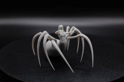 ROI ET REINE ARACHNIDE