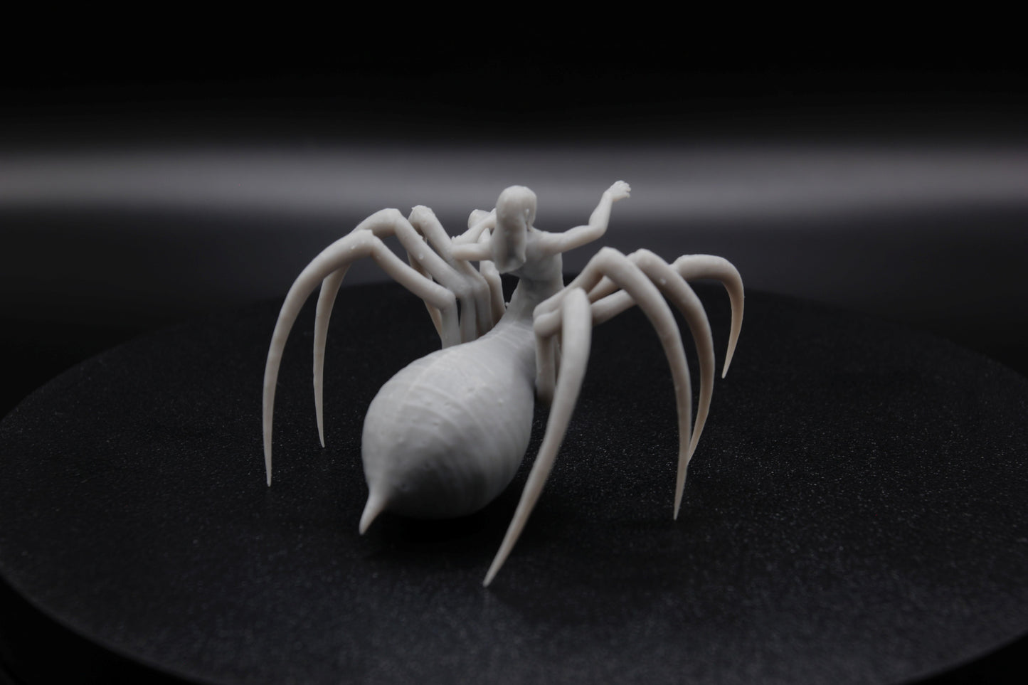 ROI ET REINE ARACHNIDE