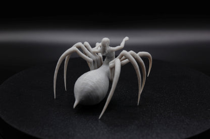 ROI ET REINE ARACHNIDE