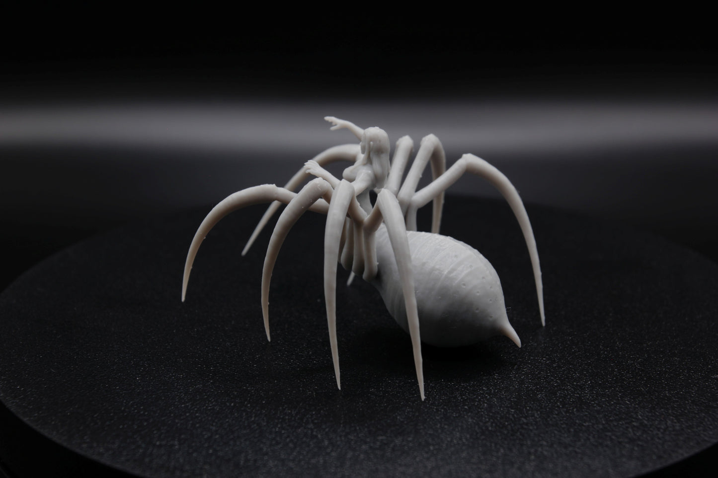 ROI ET REINE ARACHNIDE