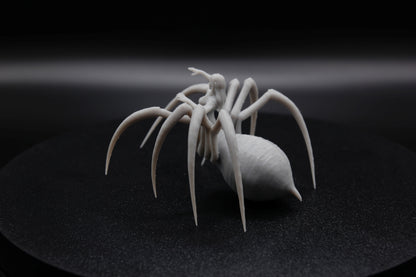 ROI ET REINE ARACHNIDE