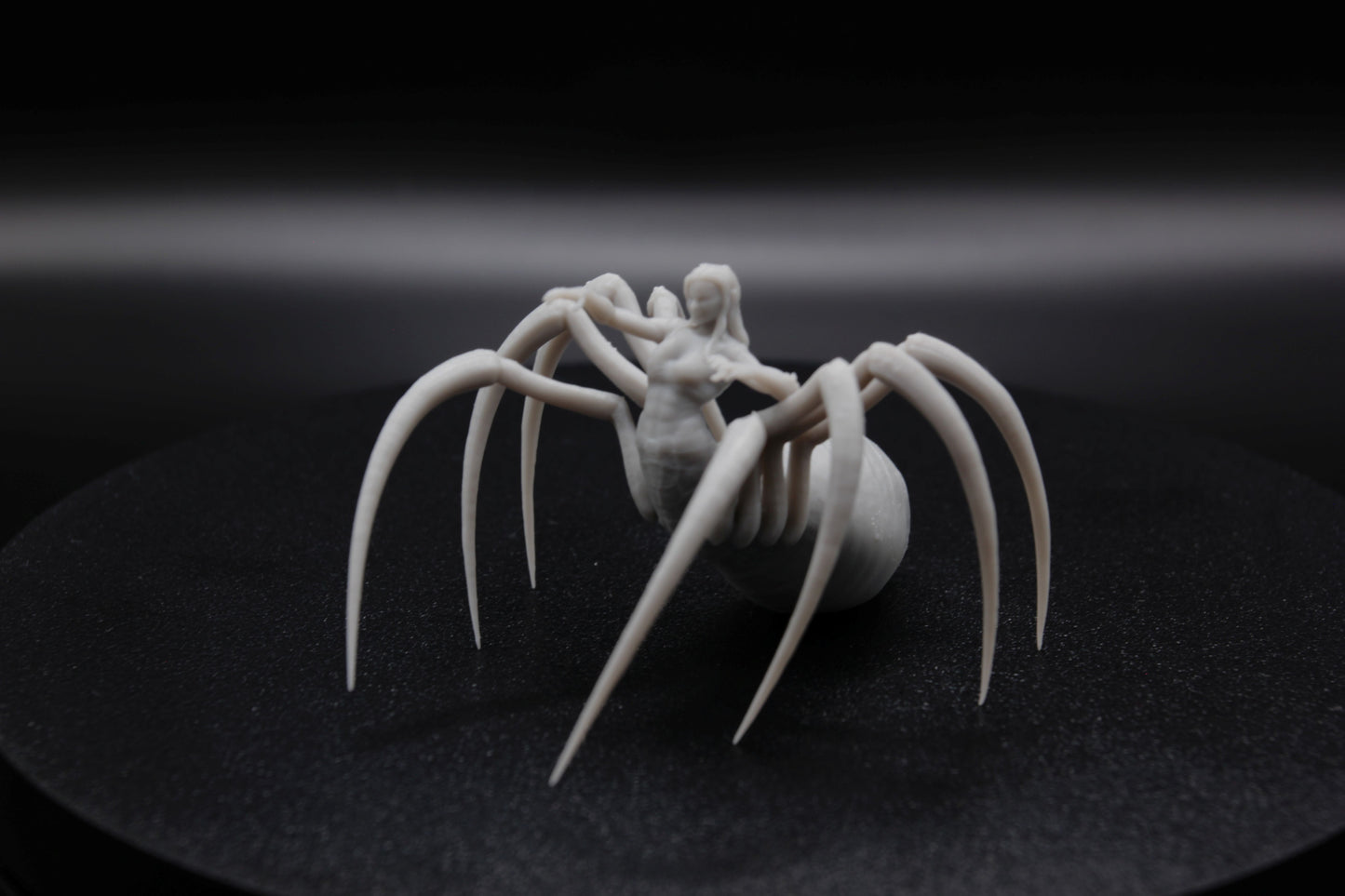 ROI ET REINE ARACHNIDE