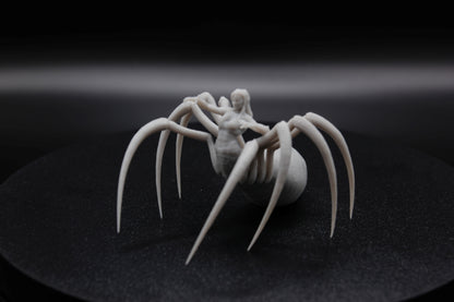 ROI ET REINE ARACHNIDE